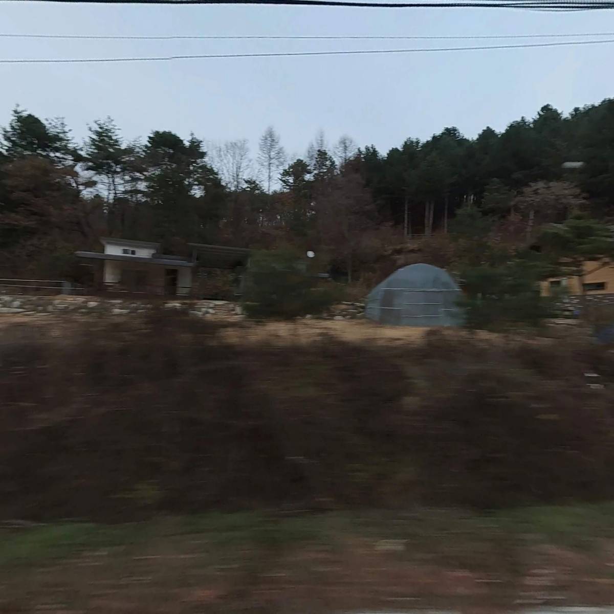 주식회사 강원양어장횟집