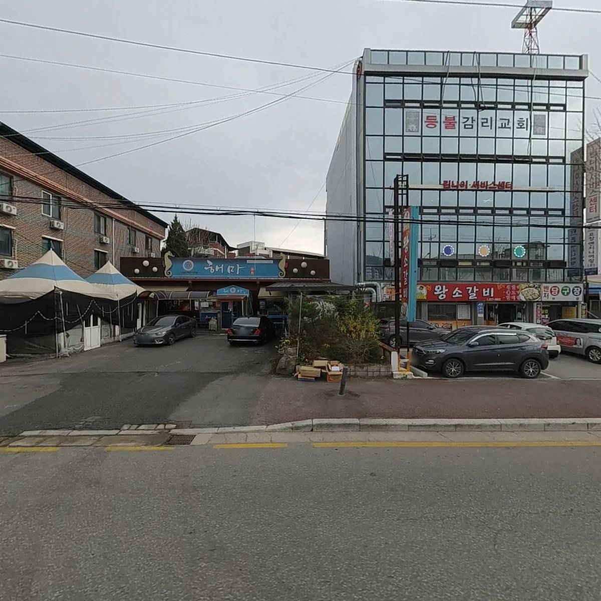 해마