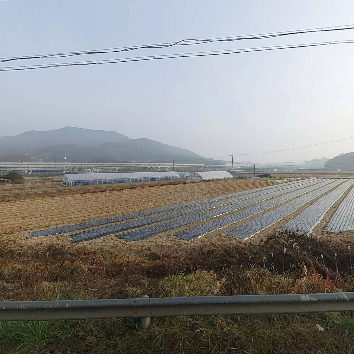 주식회사 할로와