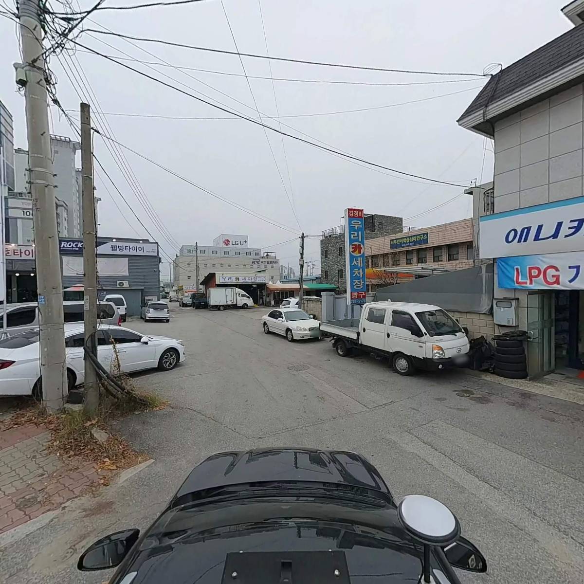 애니카랜드태장점_4