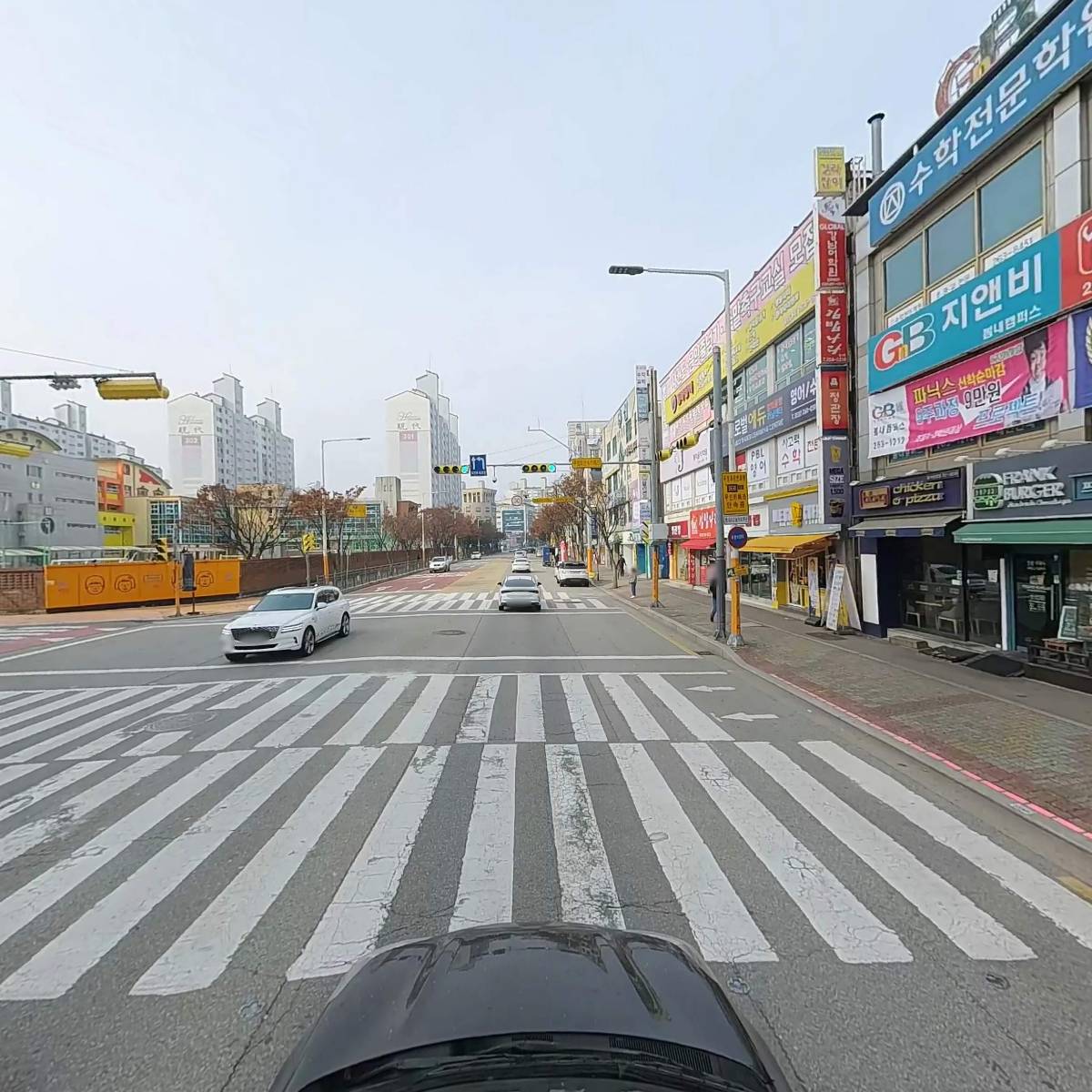 봄내동물병원_4
