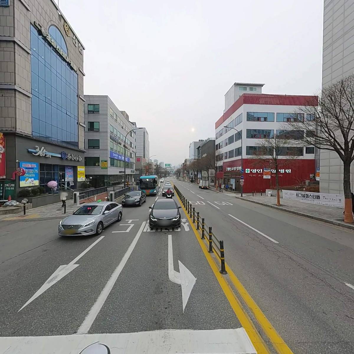 셀레스의원_2
