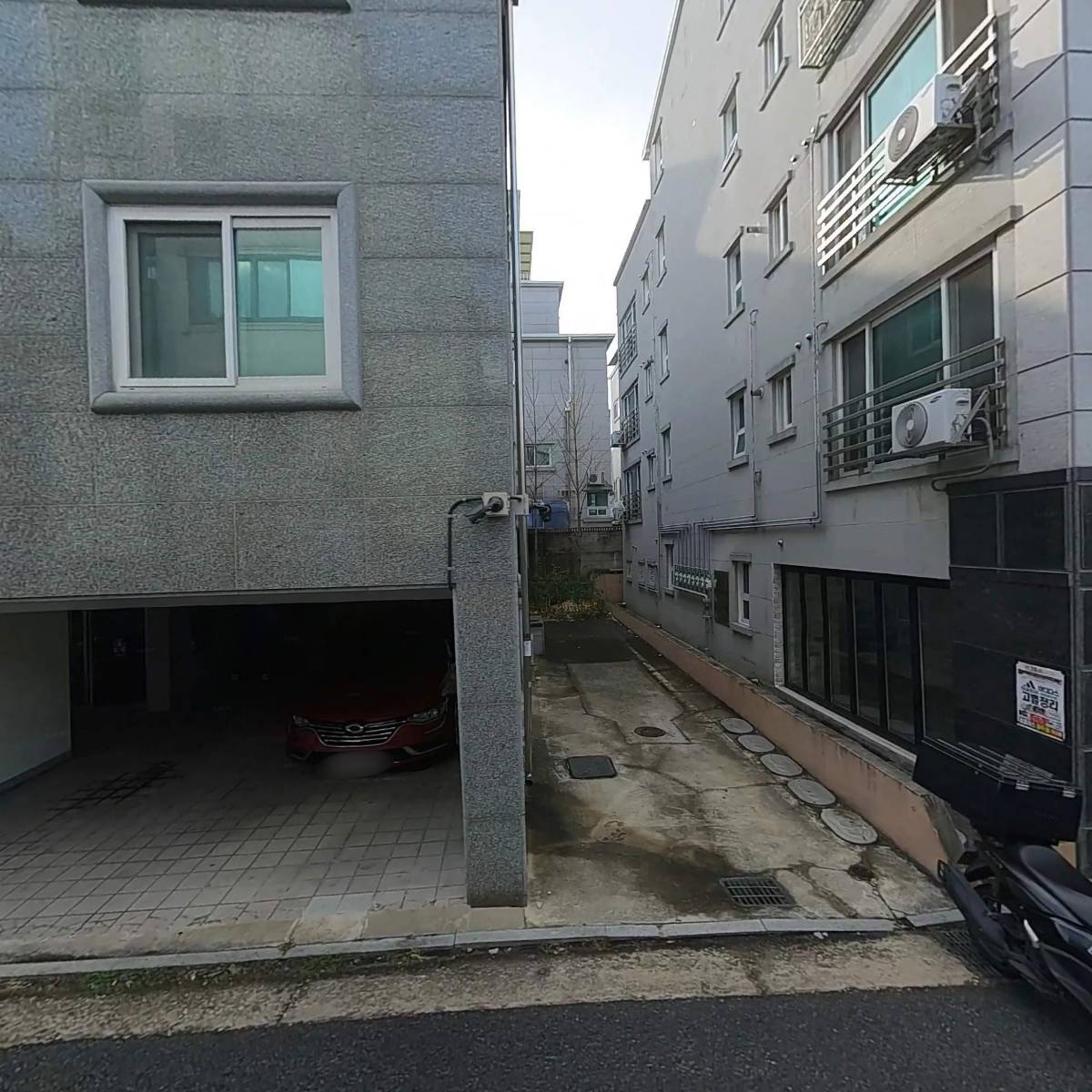 뉴아르베라