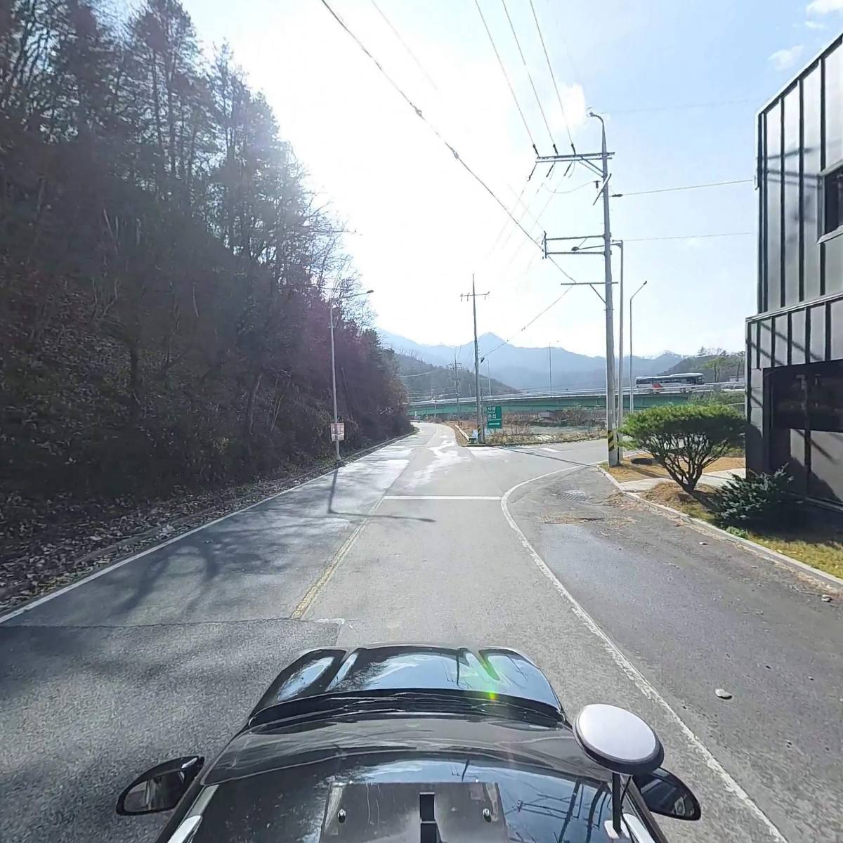 일홍_4