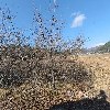텃골 황토 민박