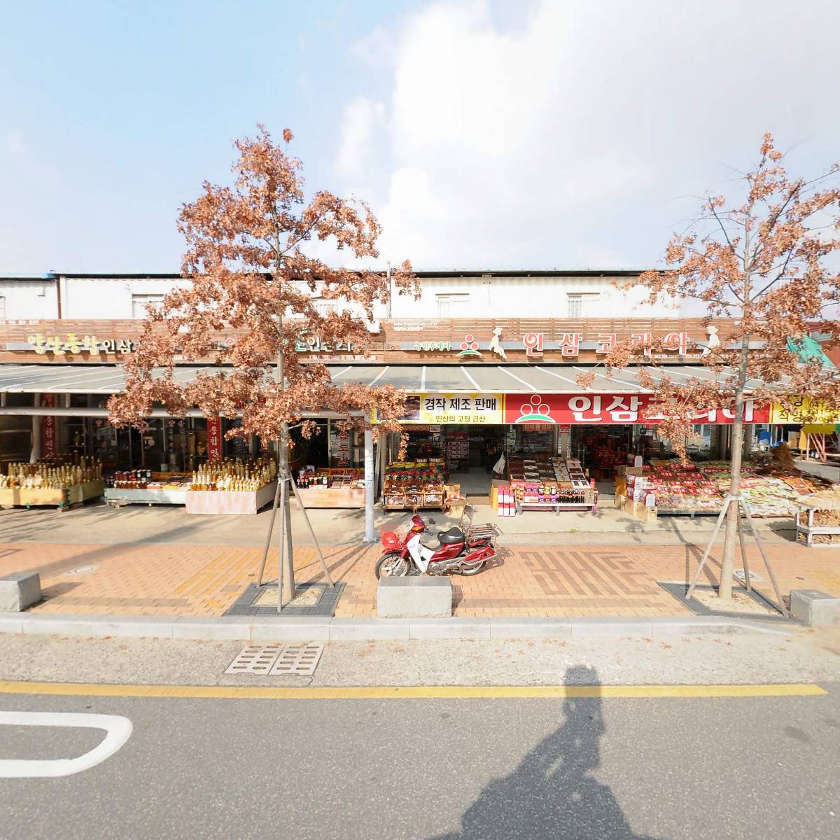 신성인삼