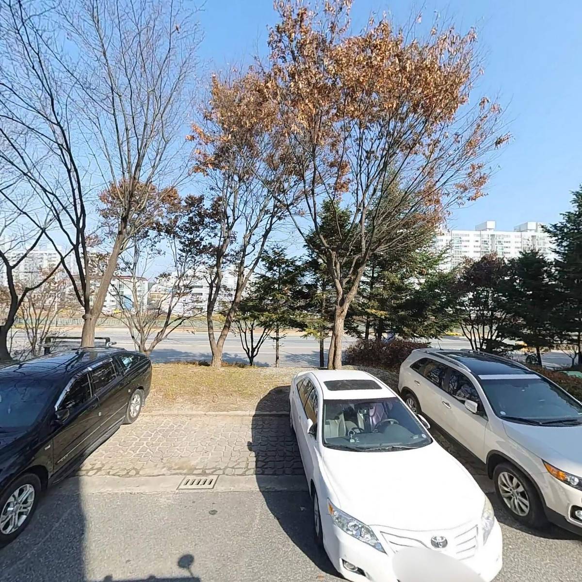 박대감