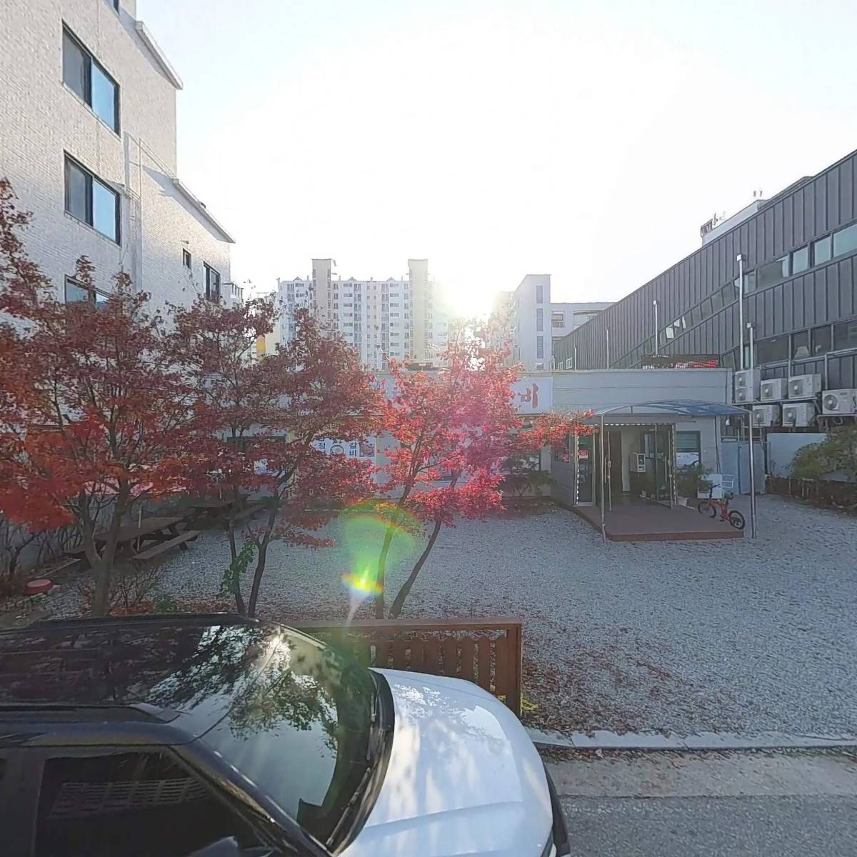 팜트리_3