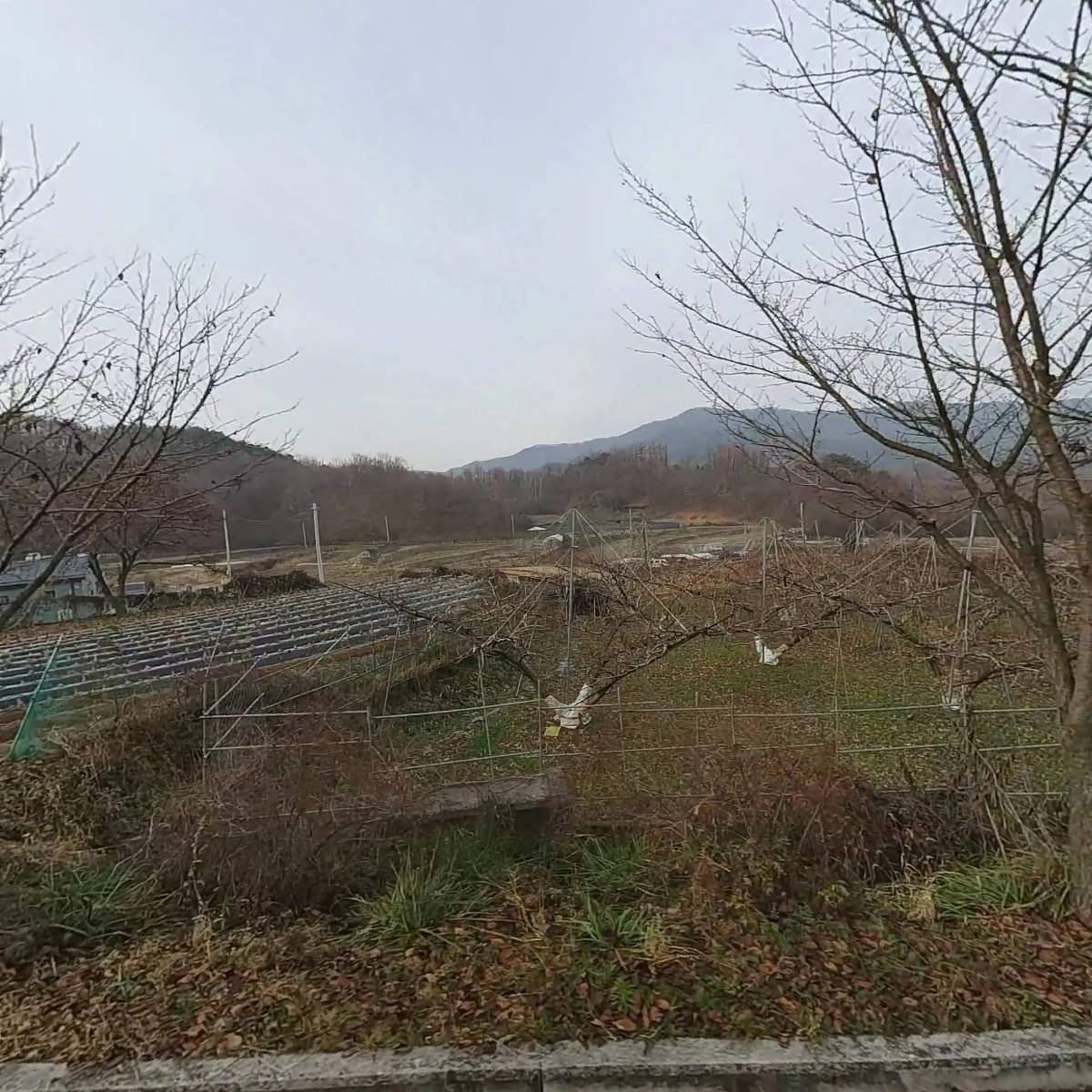 강일수출포장（임업사）