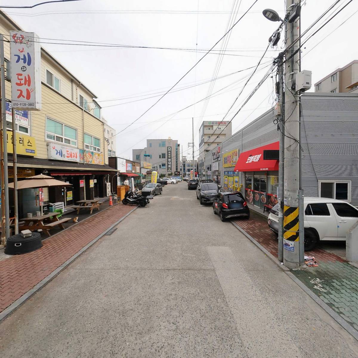 대호동물병원_2