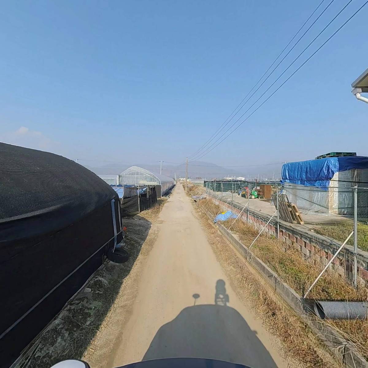 세월교수출작목반_2