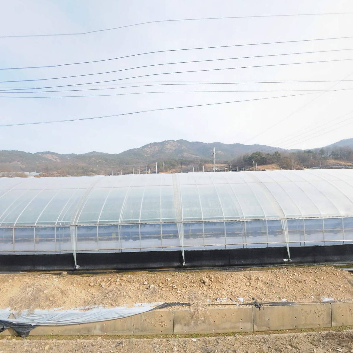 농업회사법인 주식회사 금산햇빛촌_3
