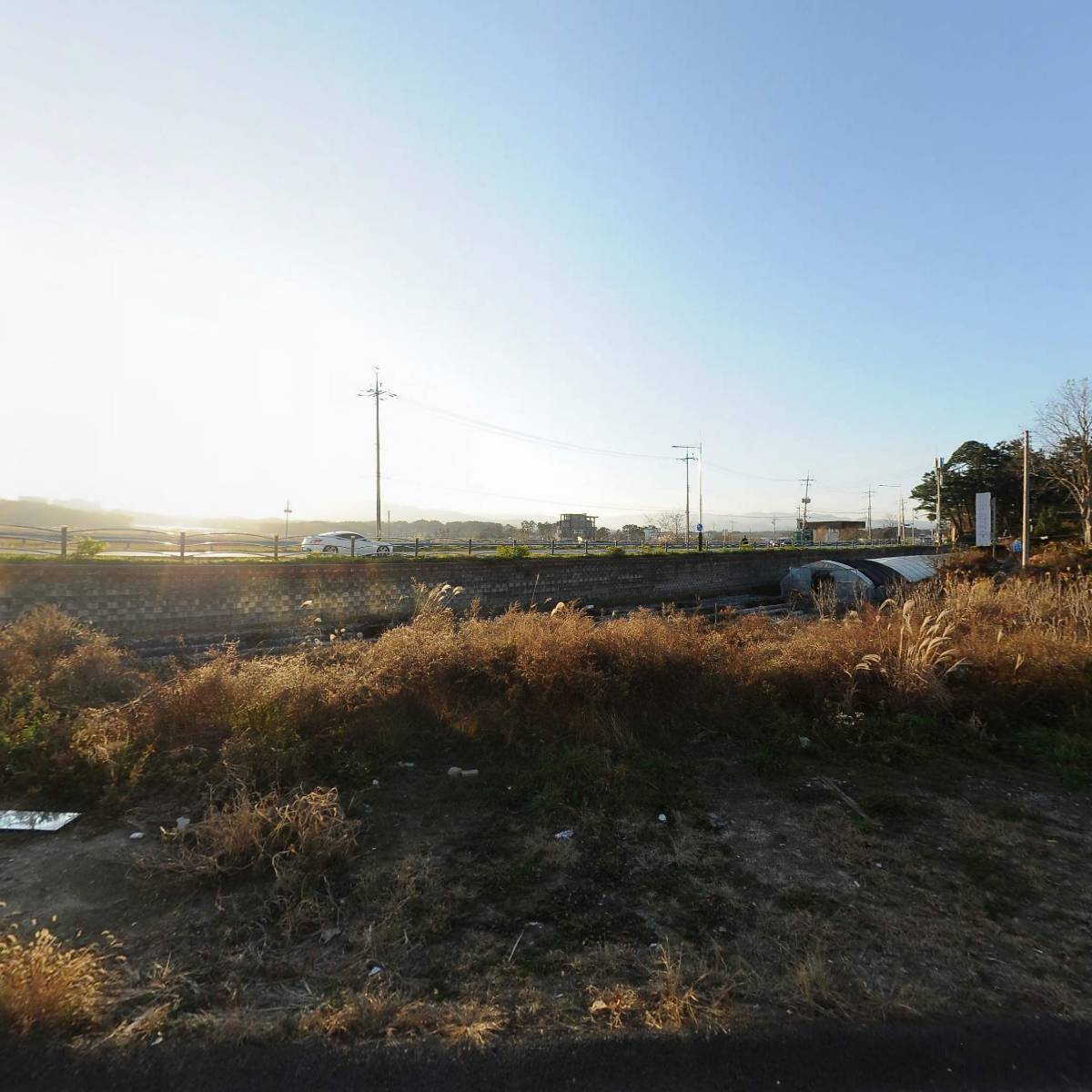 플라밍고 서프_3