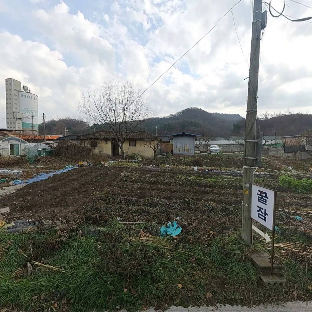 오빌리아