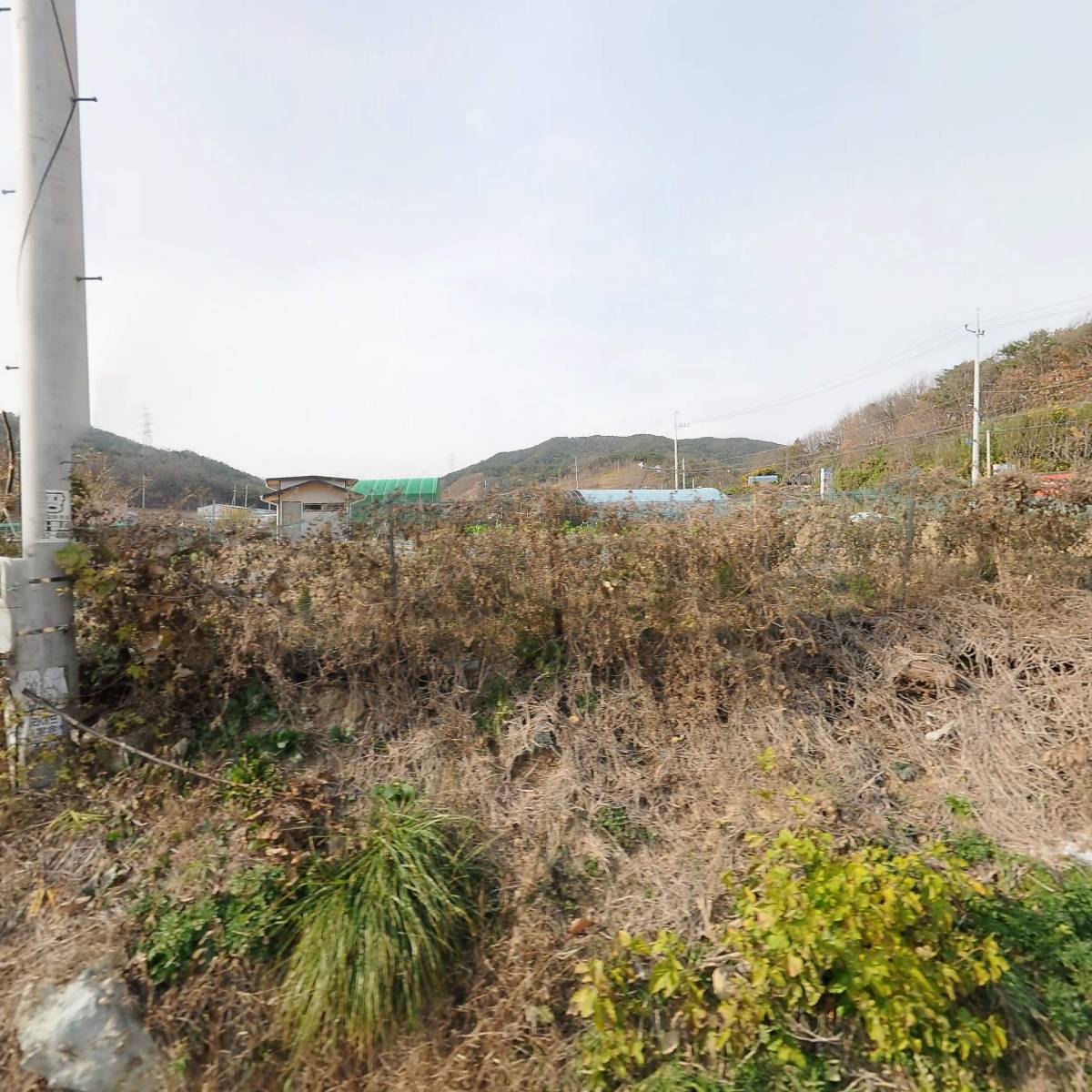 한국아이국악협회 포항지부_3