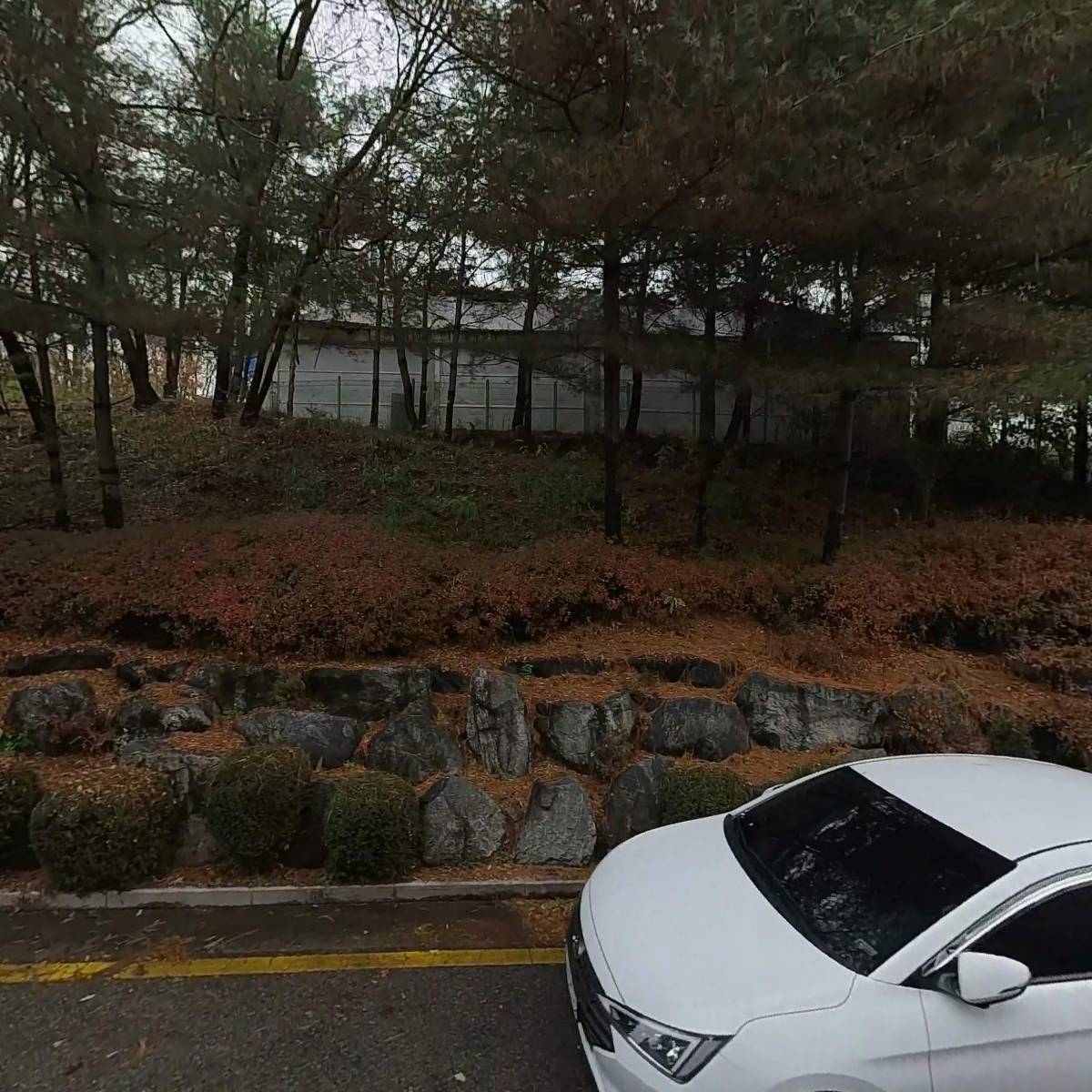 뜨락한우곱창구이_3