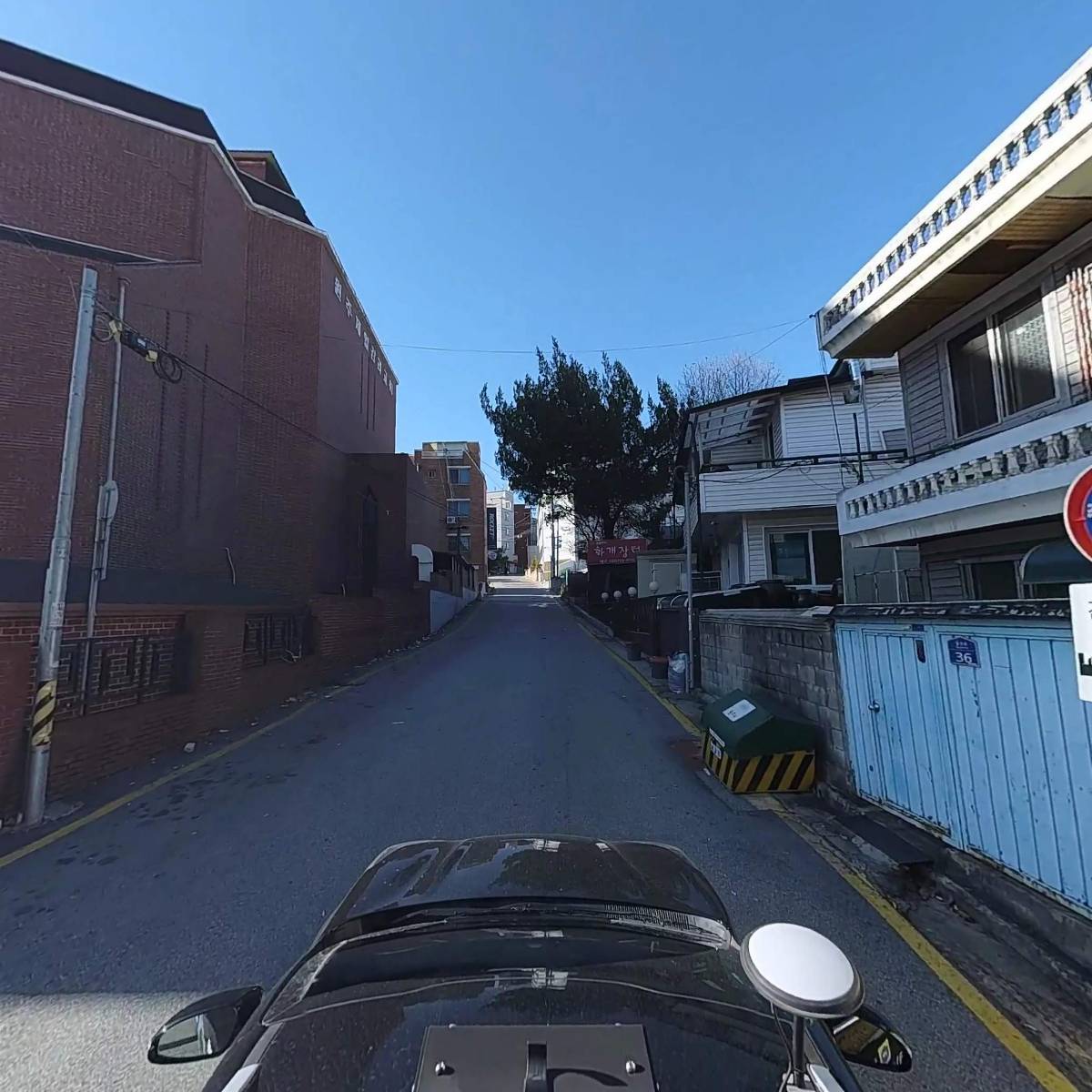 덕고산산양산삼_4