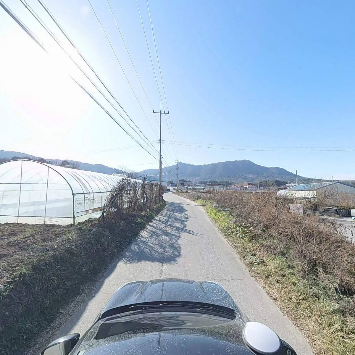 춘천크리너스_4
