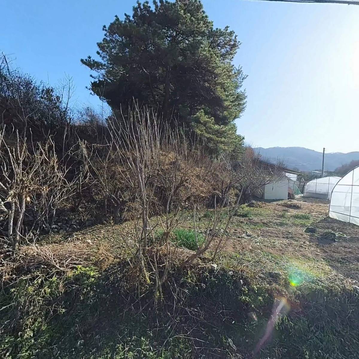 춘천크리너스_3