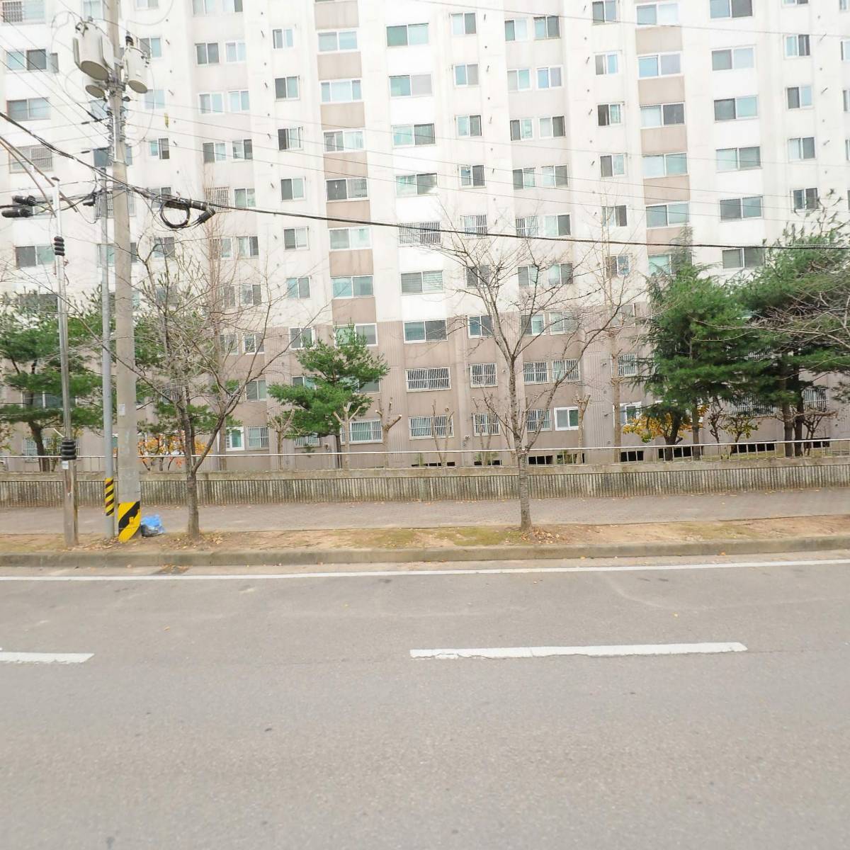 큰바구니_3
