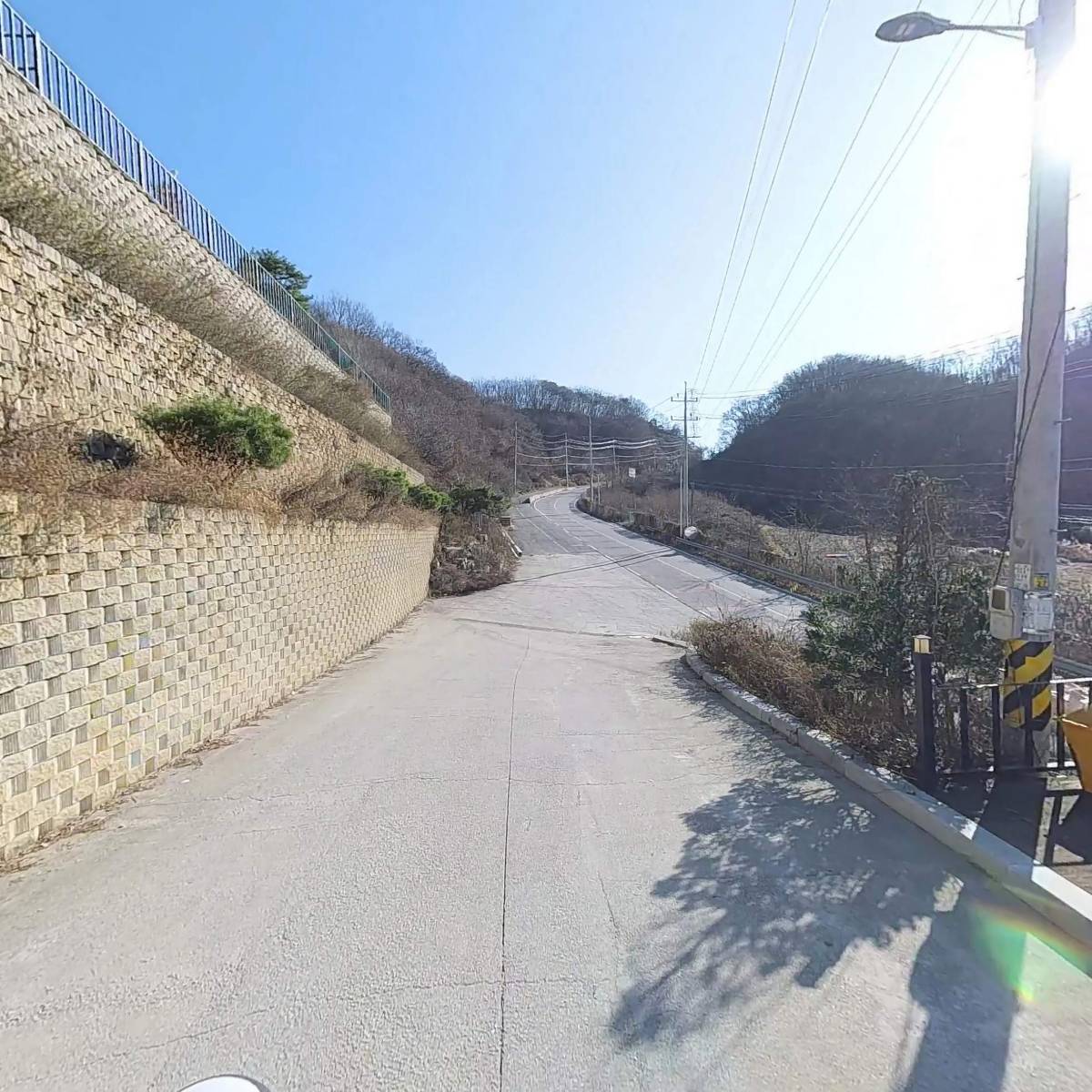 위드독7_2