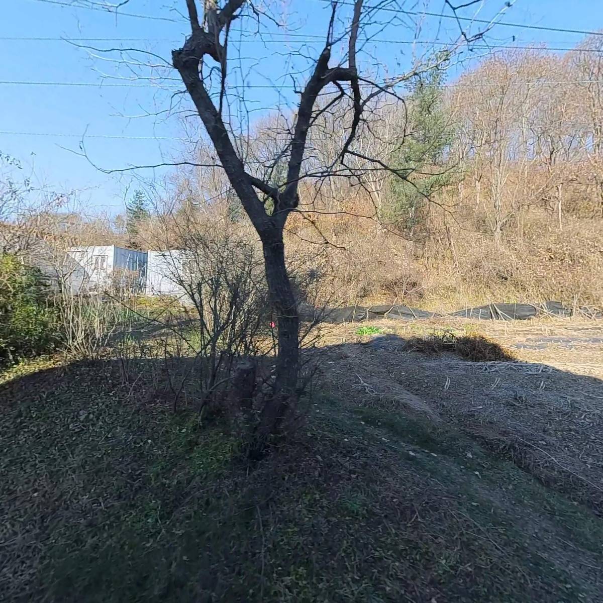 백학제일농장영농조합법인