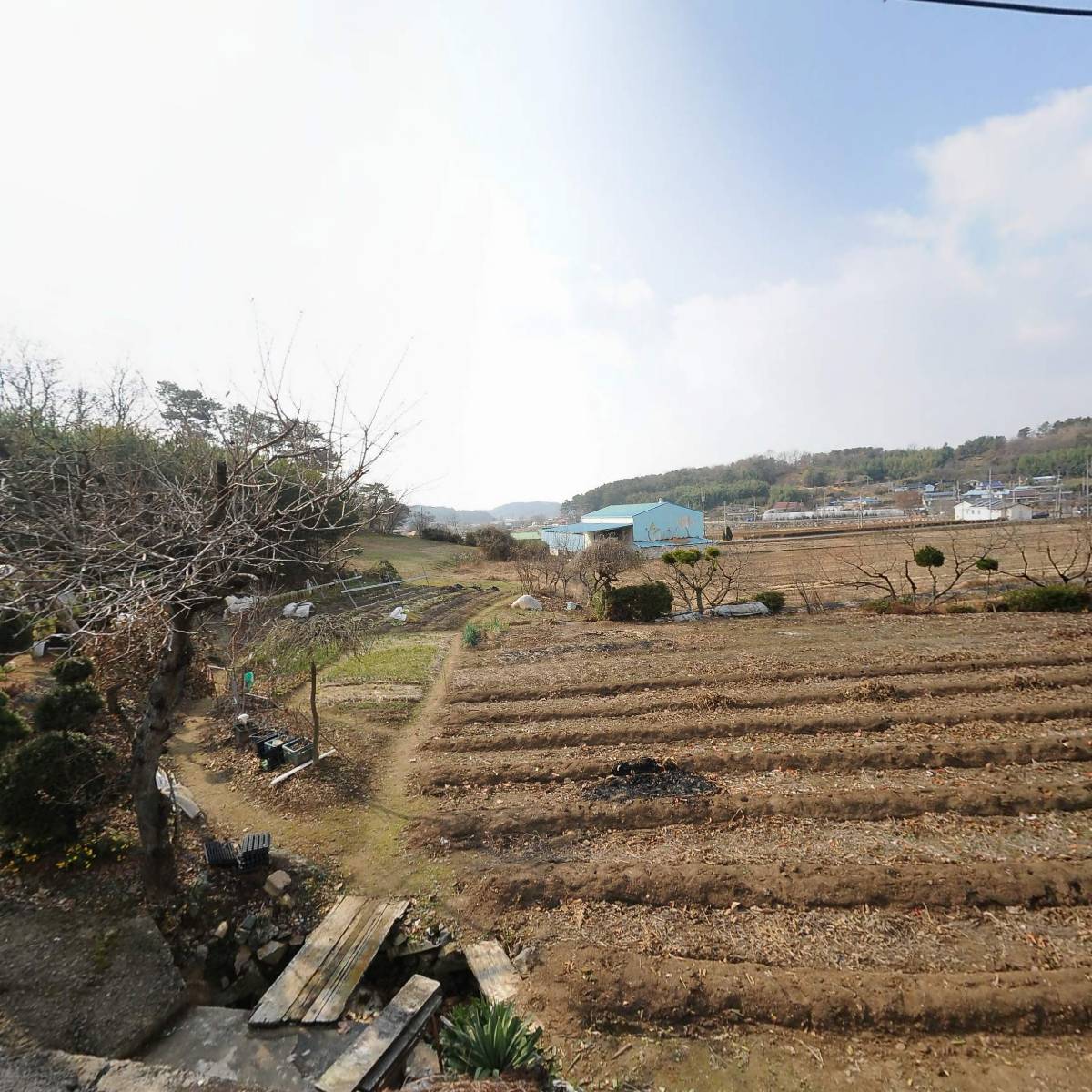 모시떡볶이