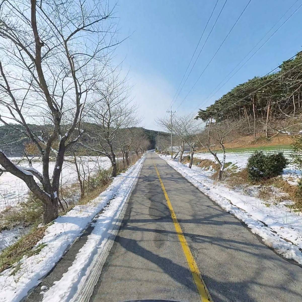 대도수산_2