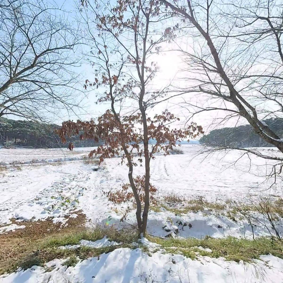 대도수산