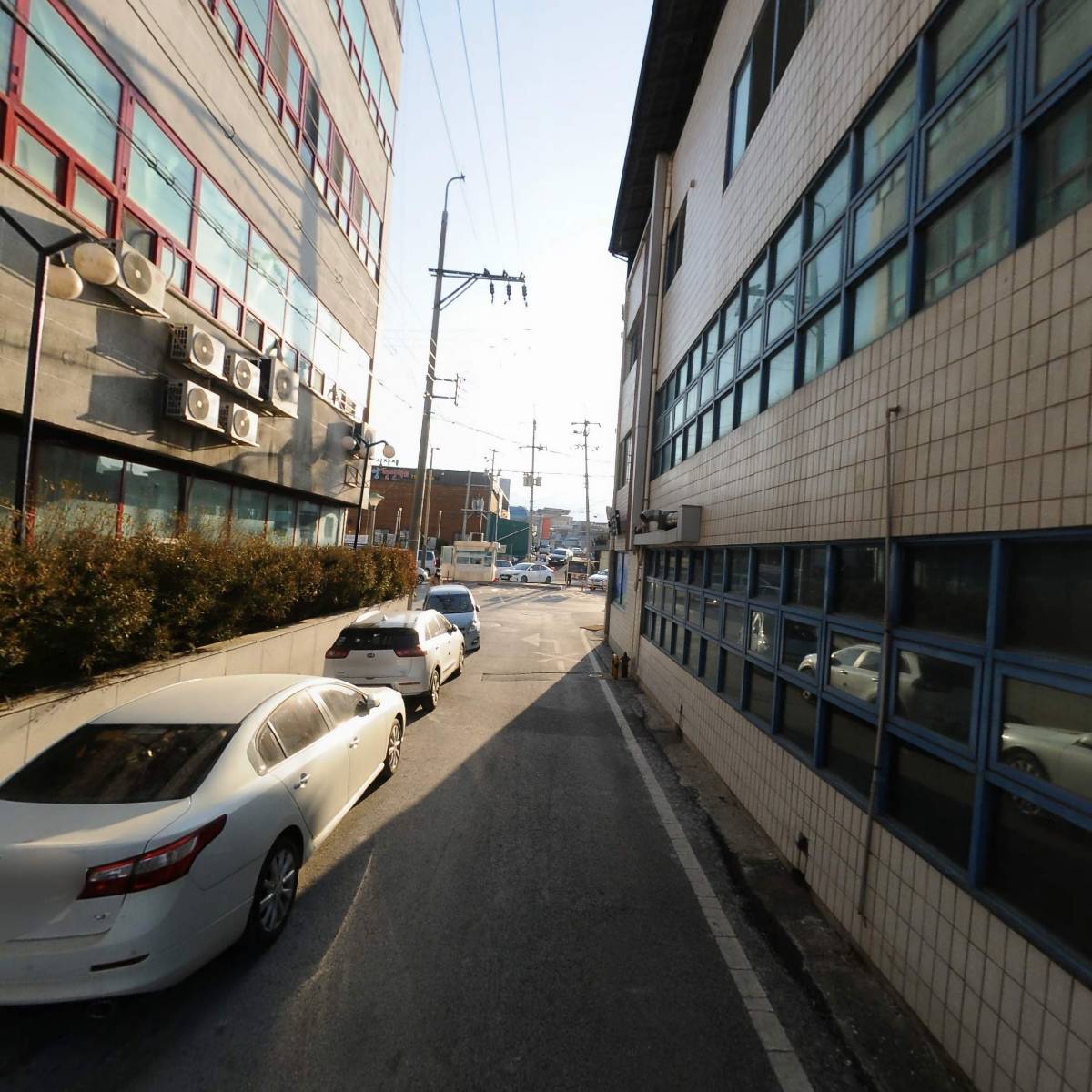 삼삼찐빵만두_2