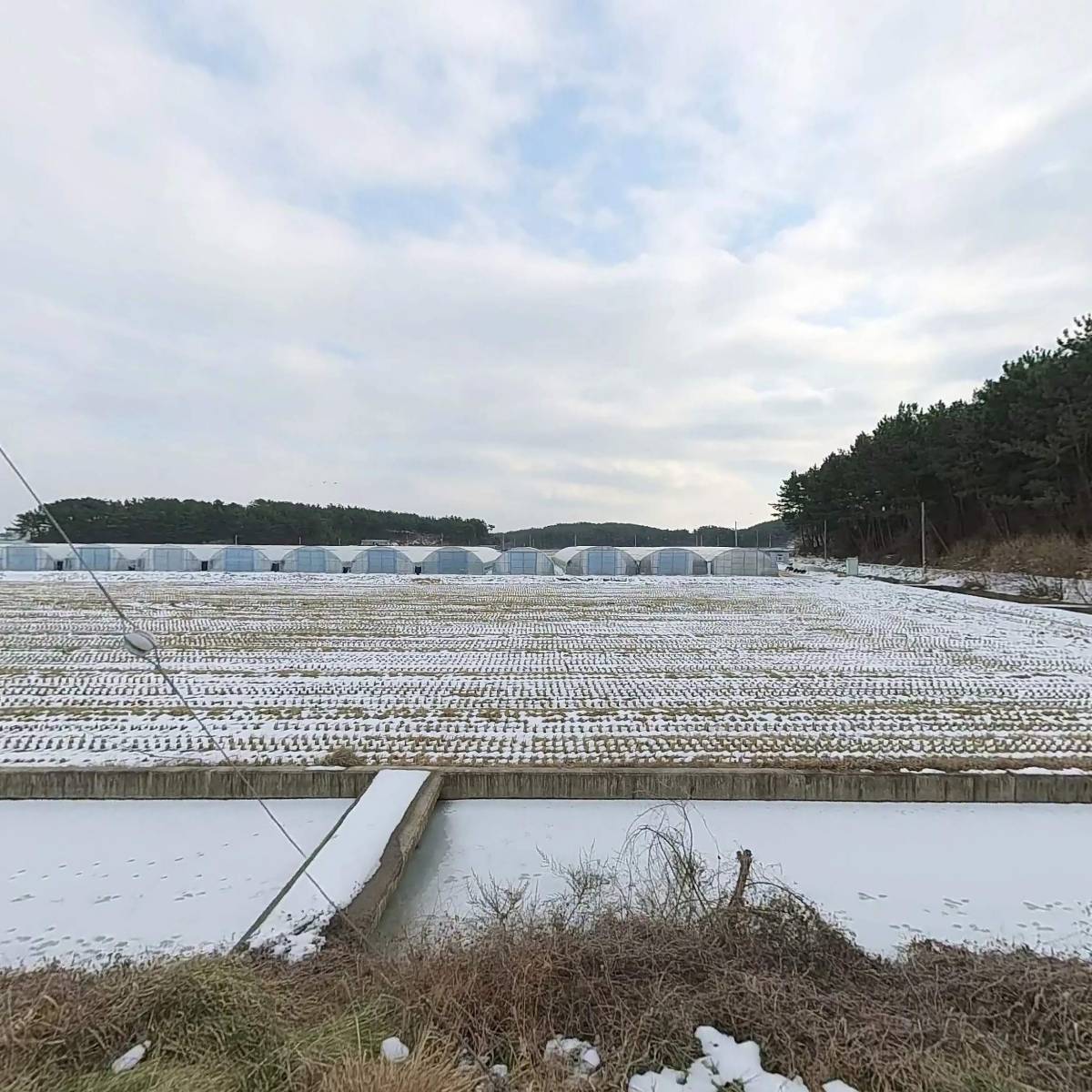 유러피안복합테마리조트(주)