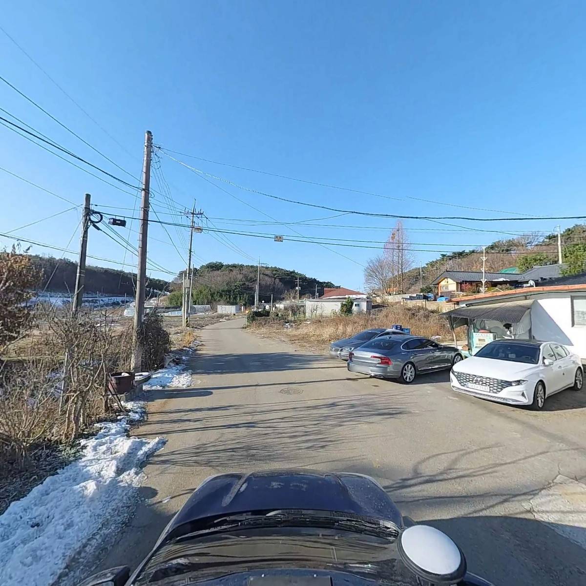 돈내코똥돼지_4