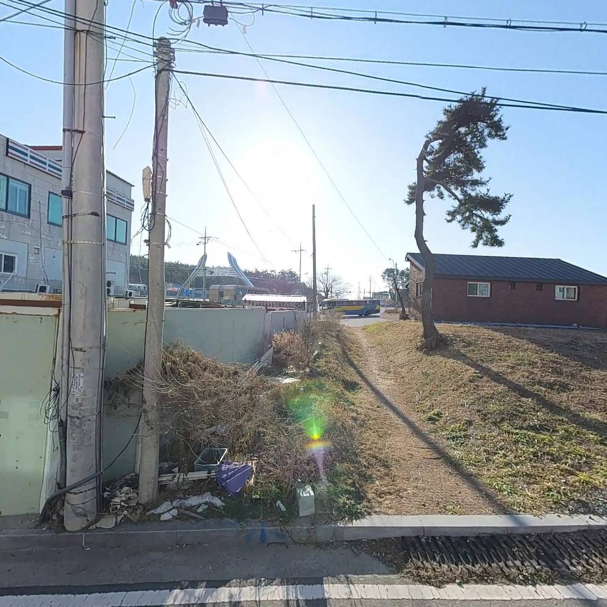 한국조류보호협회 충남태안군지회_3