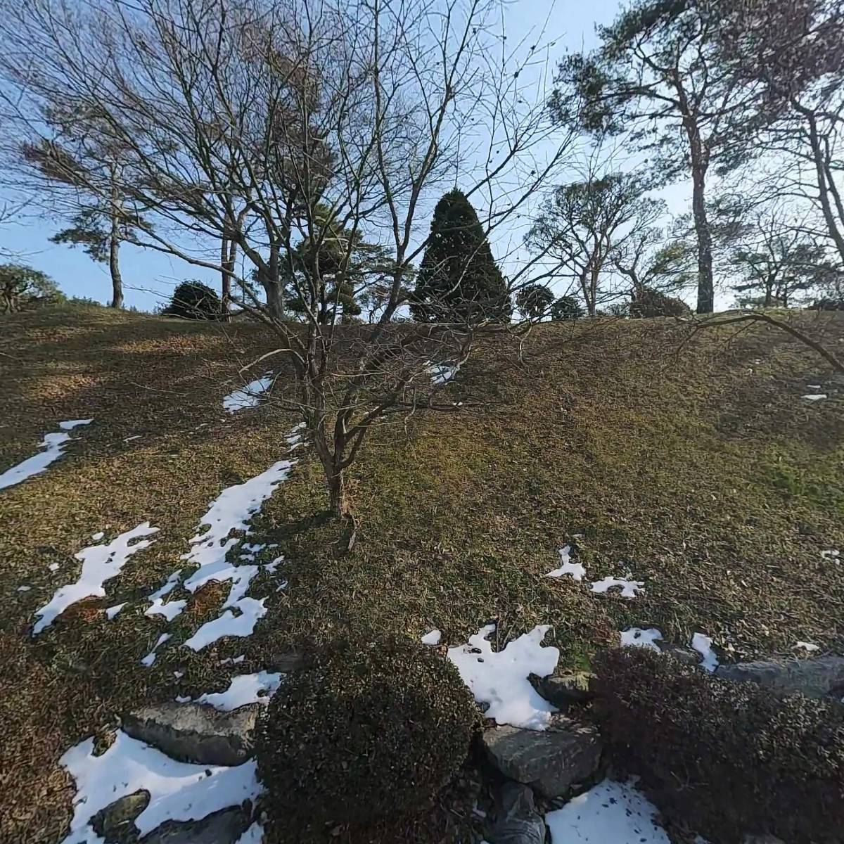 태안제일주간보호센터