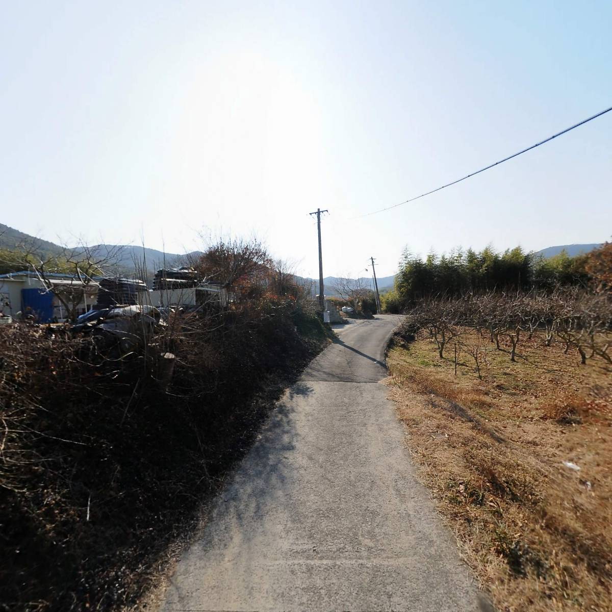 농업회사법인 고성울금 유한회사_2