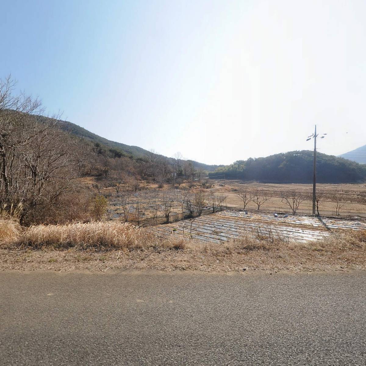 유한회사 영림조경_3