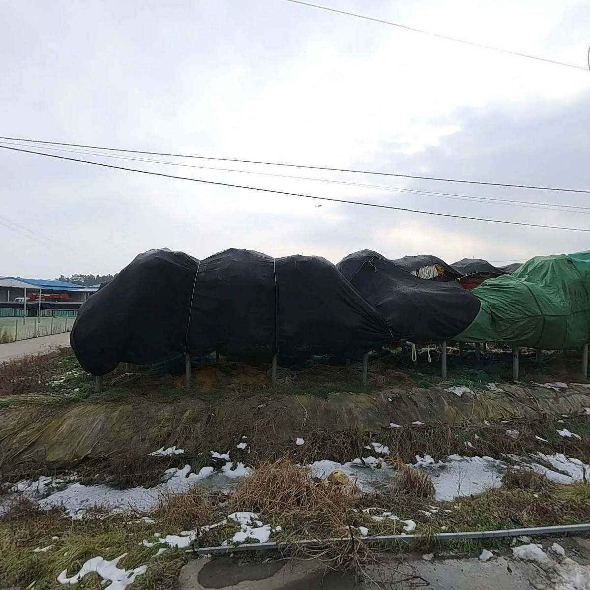 서해냉동영어조합법인