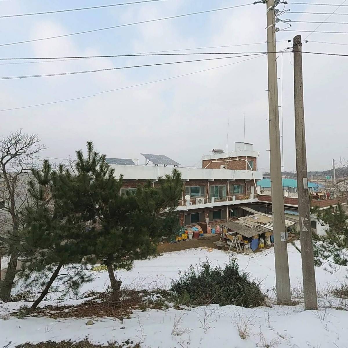 신흥축산개발