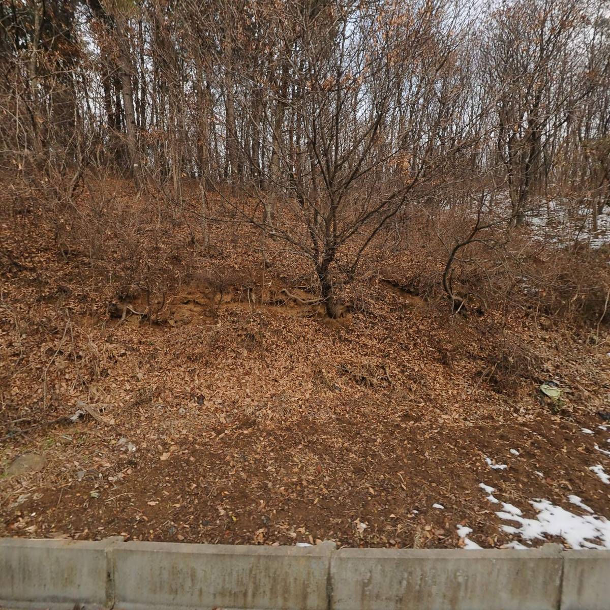 칠갑산토종닭 혜선식품