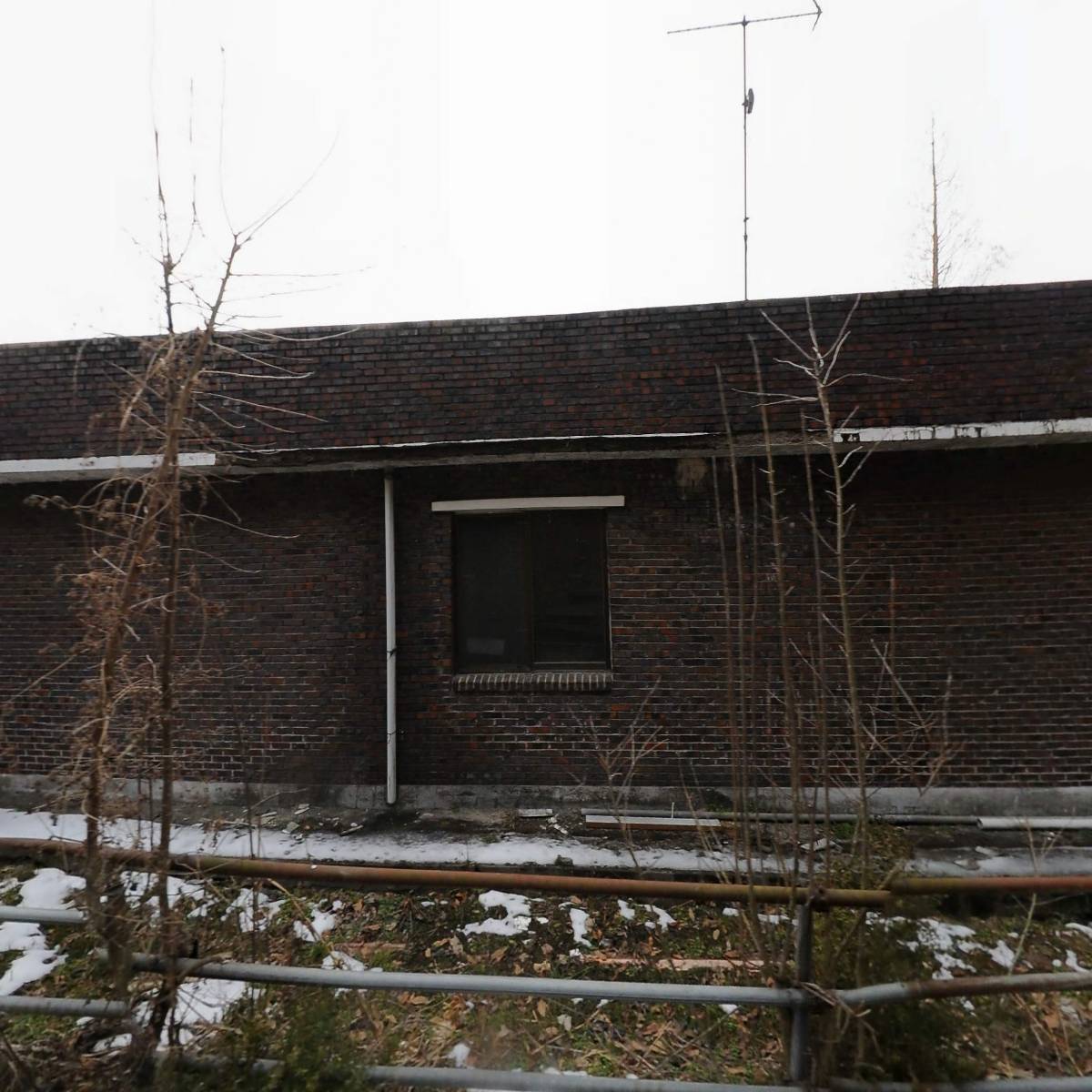 칠갑산토종닭 혜선식품_3