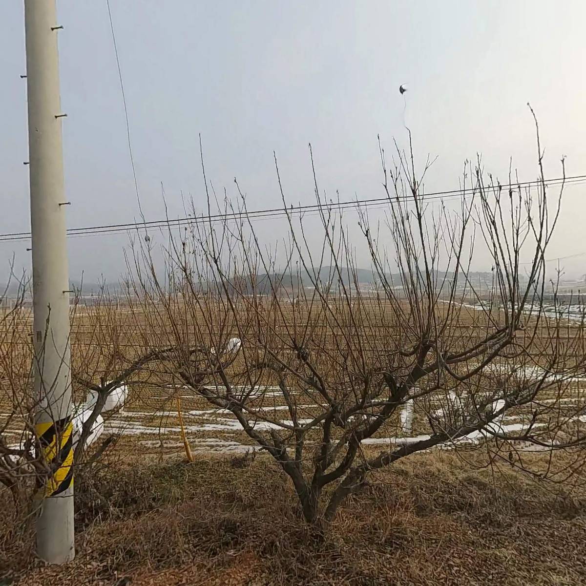 밀양박씨 진사공파문중 제1소중종