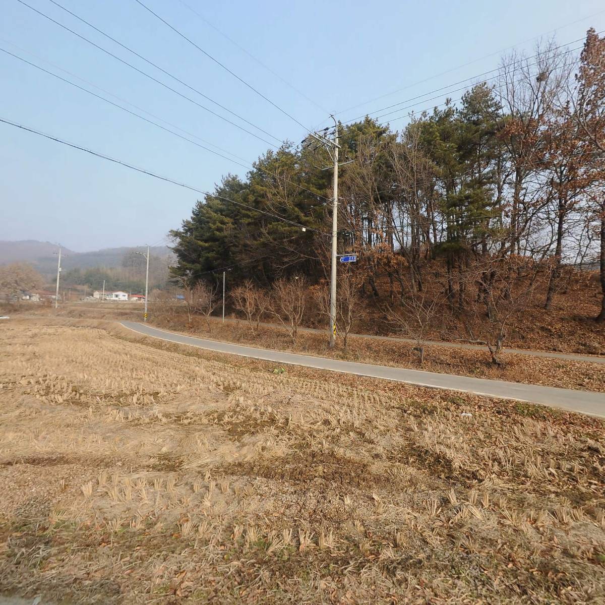 꿀도래 농도래