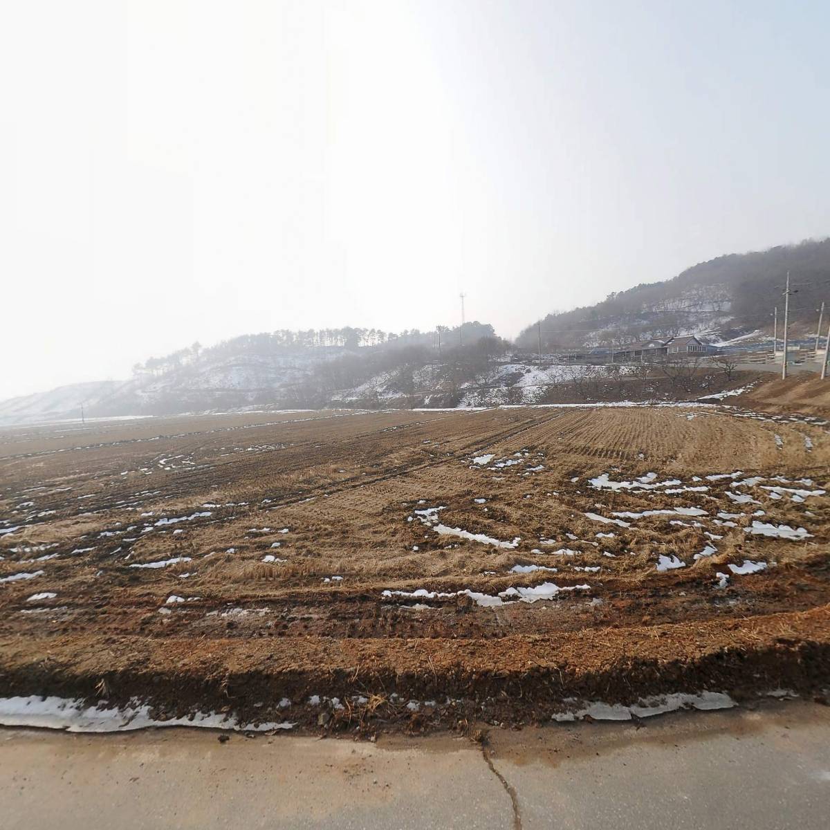 꿀도래 농도래_3