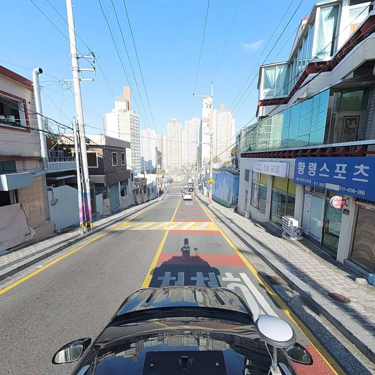 싱싱프루츠_4