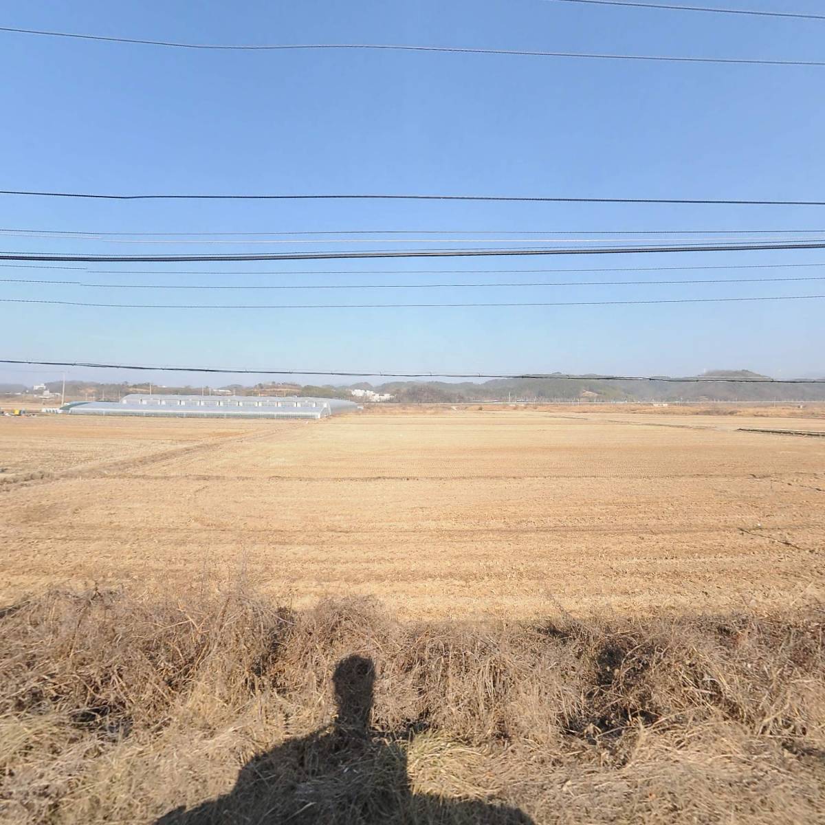 주식회사대성단조
