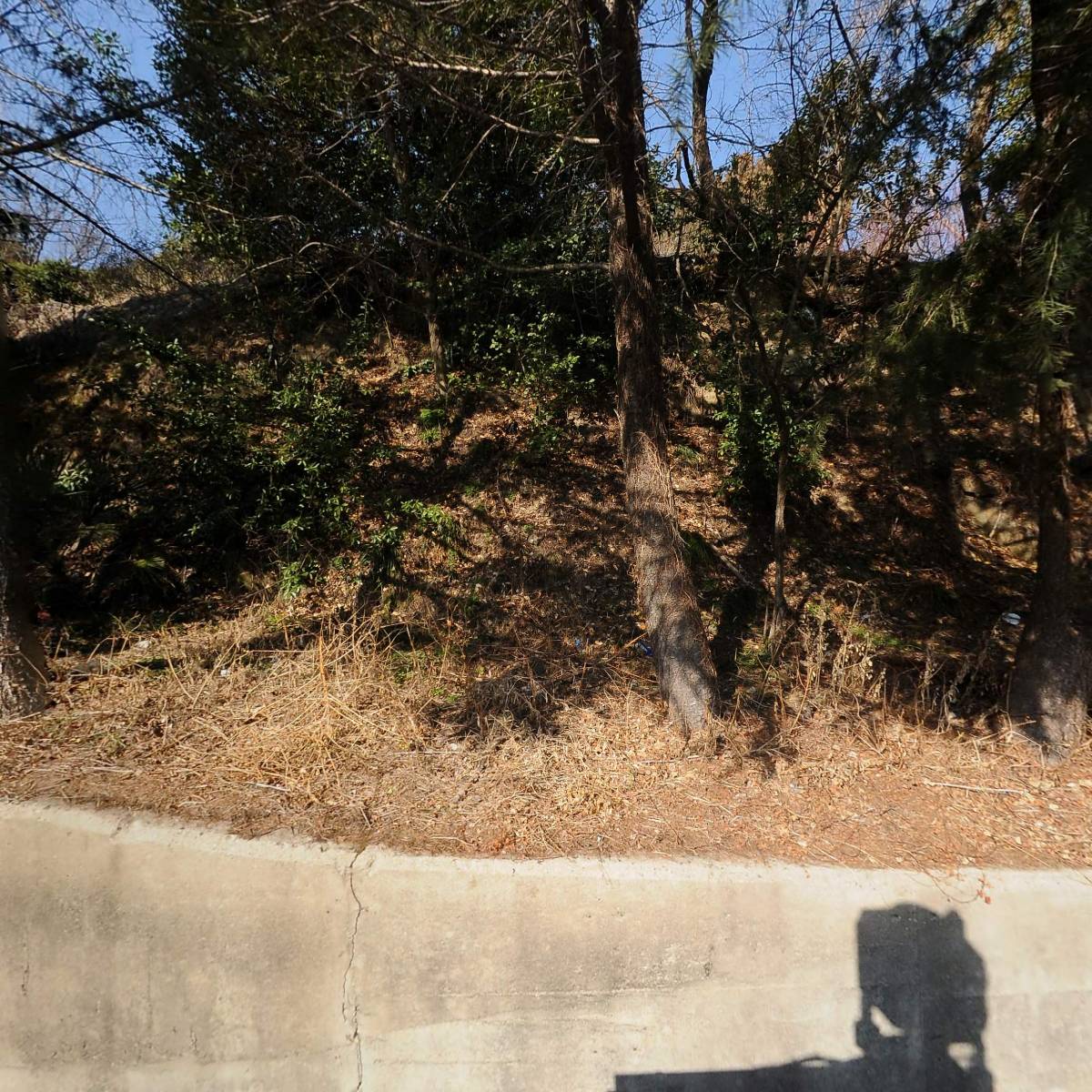 목포시공무원노동조합