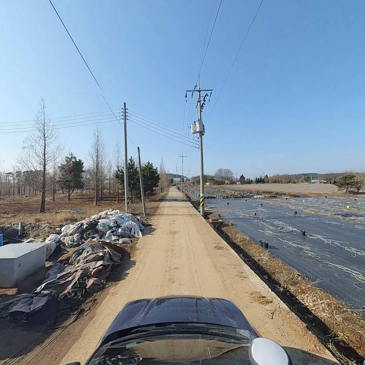 태안반도 백합수출 영농조합법인_4