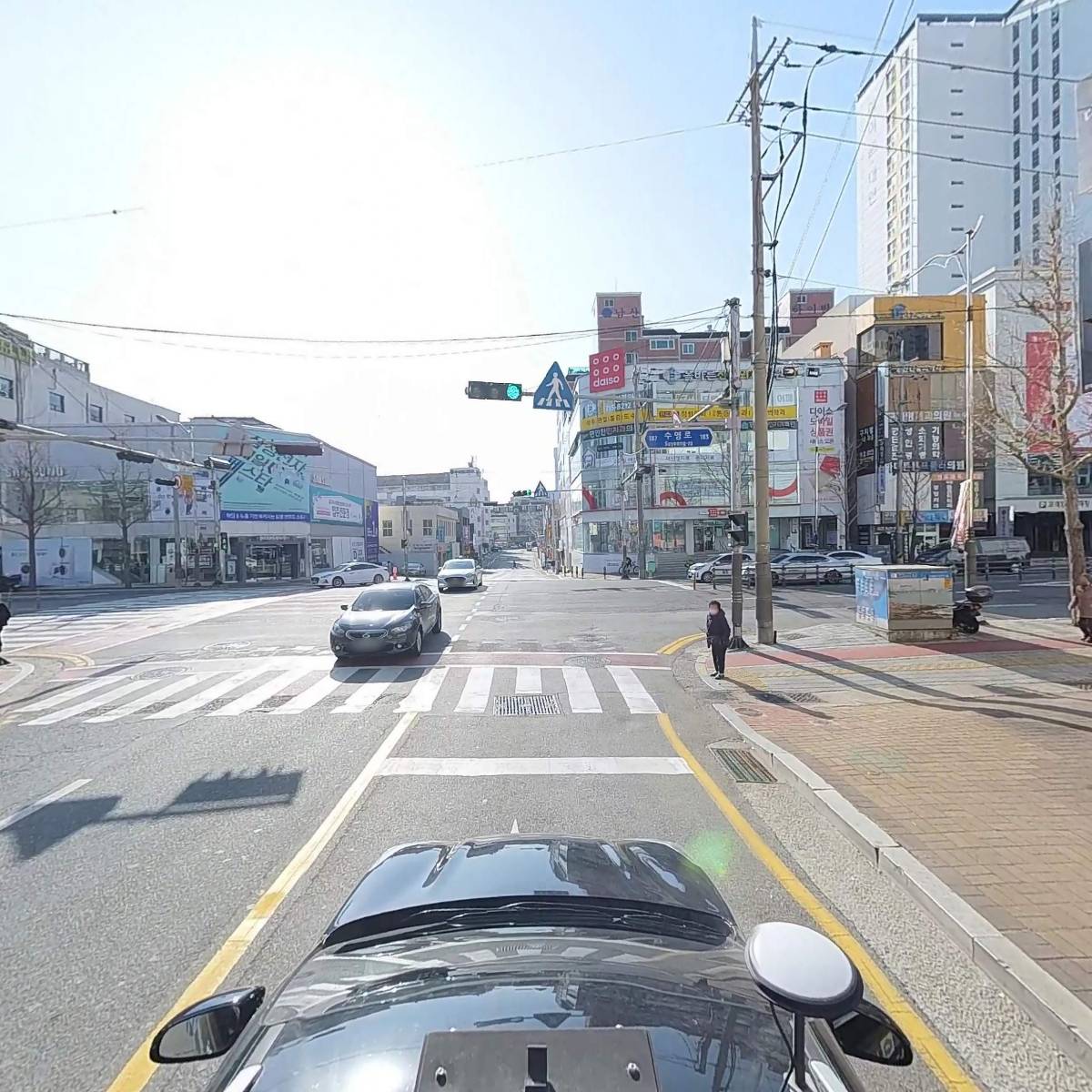 츄츄독 푸들이야기 부산 강아지분양_4