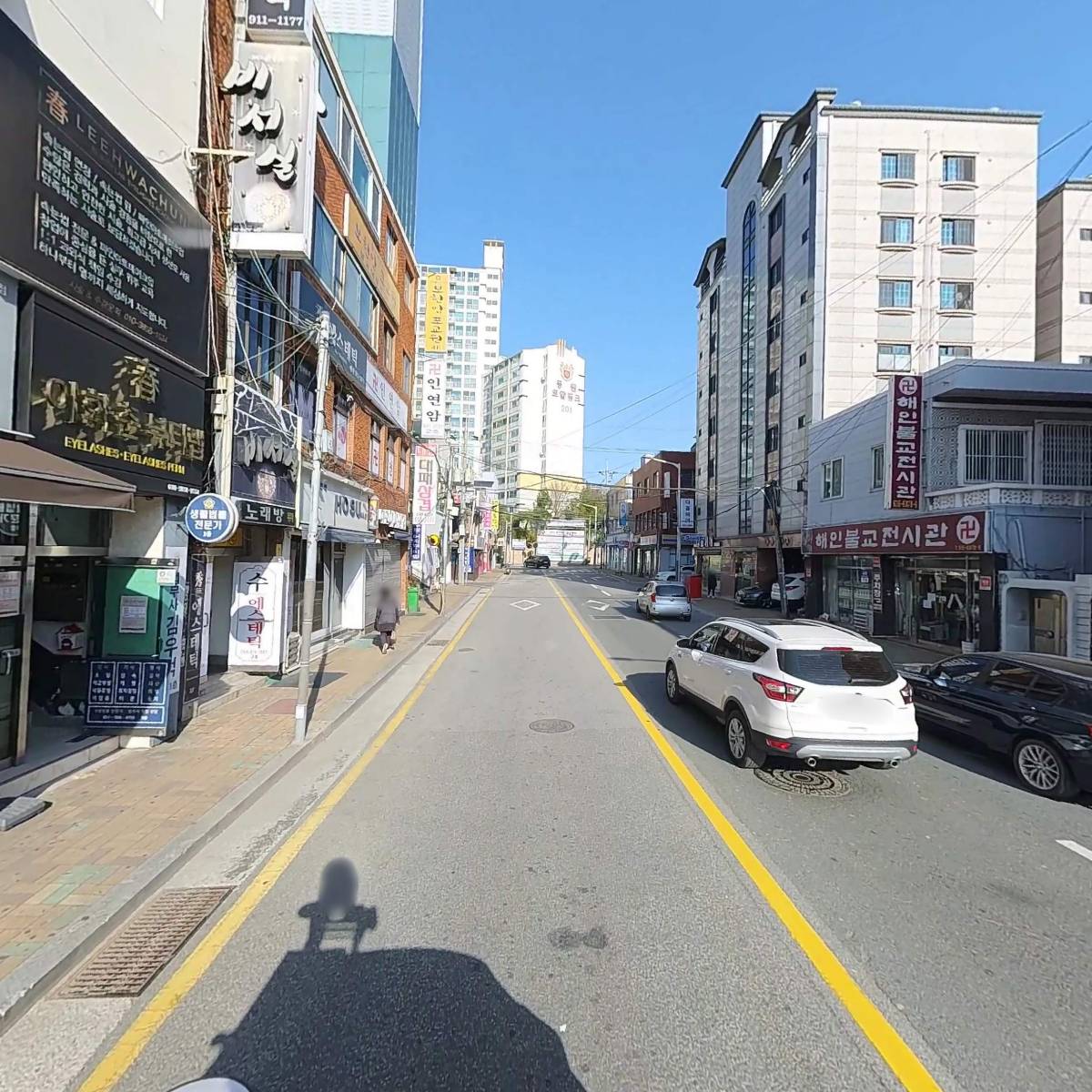 츄츄독 푸들이야기 부산 강아지분양_2