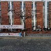 소나무 약국_3